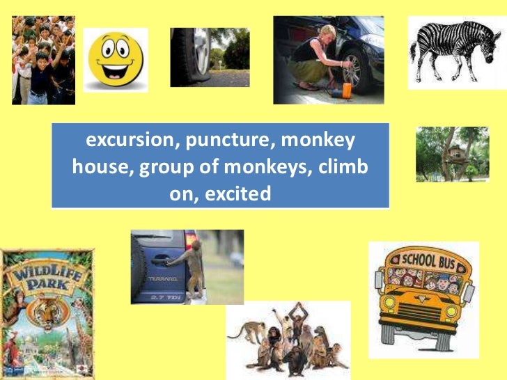 An Unforgettable Trip Essay Examples | Kibin