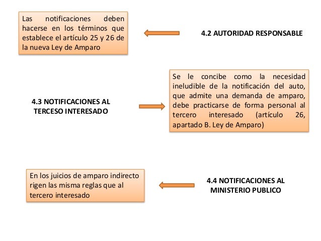 TERMINOS PROCESALES, NOTIFICACIÓN E INCIDENTES EN EL AMPARO