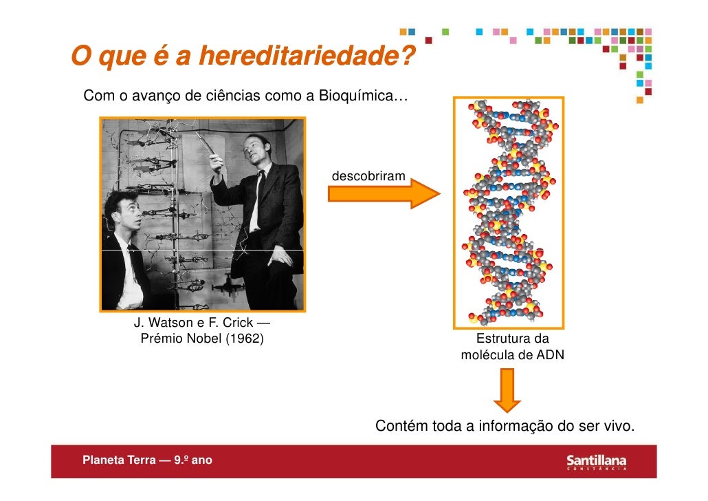 O Nome Da Unidade Básica Da Hereditariedade