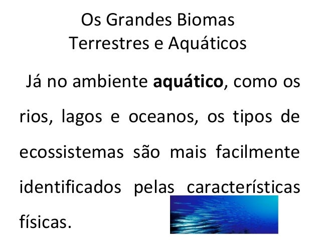 Os grandes biomas terrestres e aquáticos Os grandes biomas terrestres e aquáticos