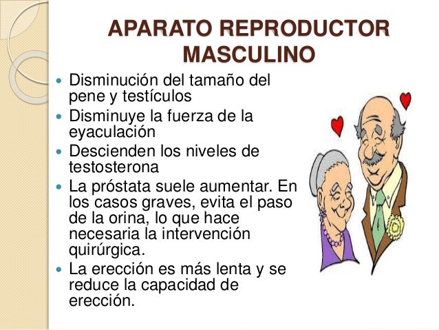 El aumento del pene de hombre