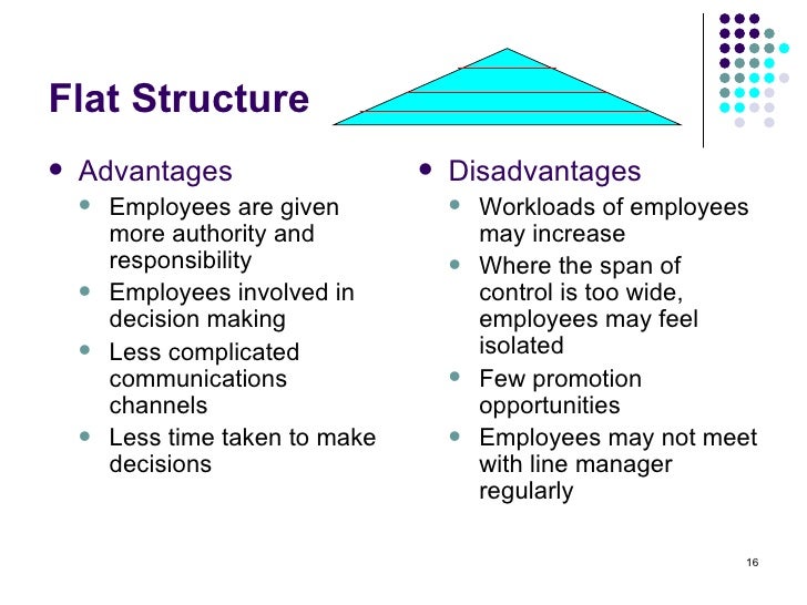 flat organizational structure