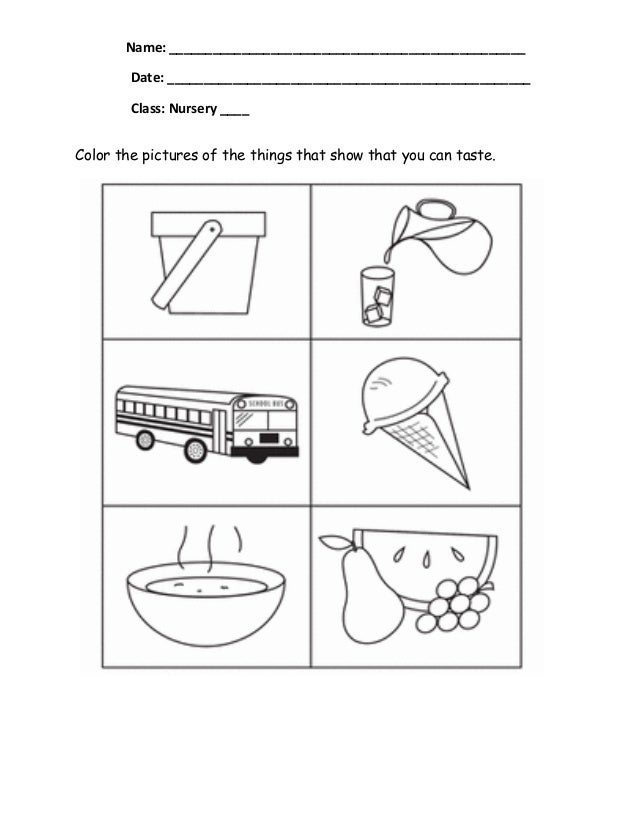 senses senses worksheets Five writing worksheet five senses senses worksheets Five writing worksheet five