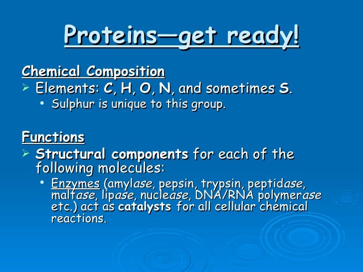 Unit B4 Molecules Proteins
