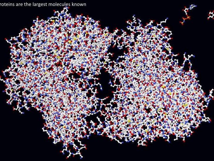 Unit 11 Covalent Bonding