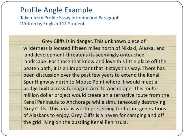 Example Of A Profile Essay