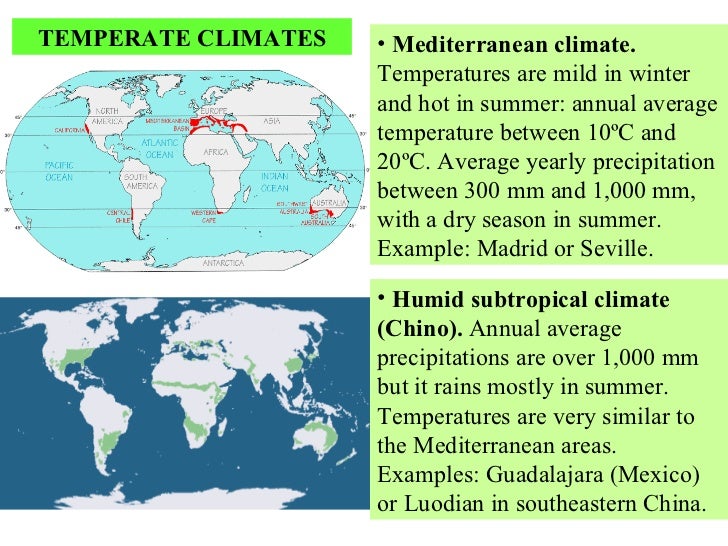 an essay about vegetation typical of a mediterranean climate an essay about vegetation typical of a mediterranean climate