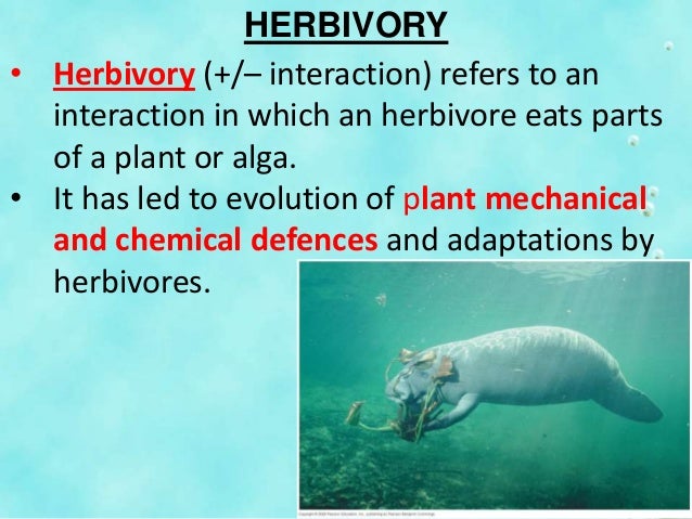 Unit 3 population ecology