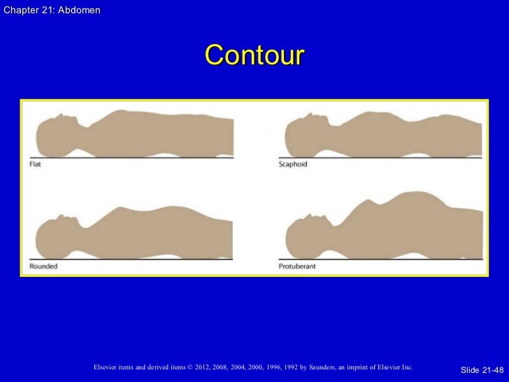 abdominal contour definition abdominal contour definition