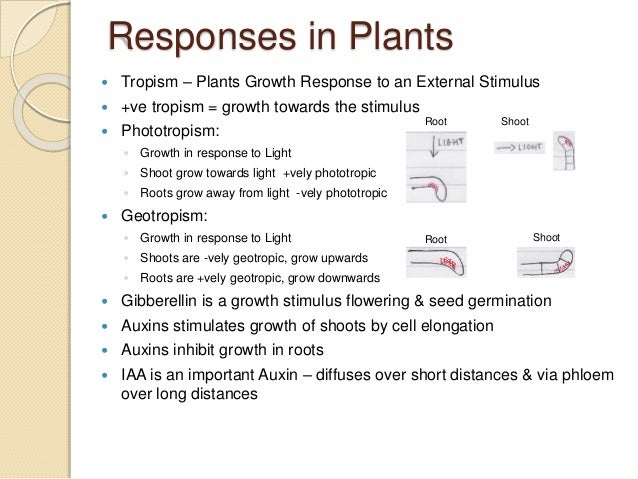 list of aqa biology essay questions 100% free papers on biology essay sample topics, paragraph introduction help, research & more class 1-12, high school & college. list of aqa biology essay questions 100% free papers on biology essay sample topics, paragraph introduction help, research & more class 1-12, high school & college.