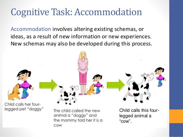 cognitive accommodation