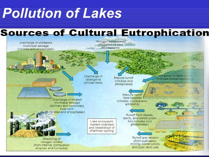 essay on water pollution in pakistan An essay on the causes and effects of water pollution in pakistan is published measures to reduce the land and water pollution are also suggested. essay on water pollution in pakistan An essay on the causes and effects of water pollution in pakistan is published measures to reduce the land and water pollution are also suggested.