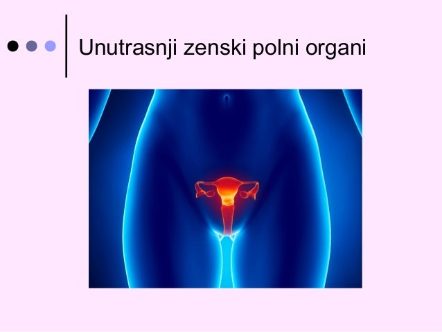 Najveci-Muski-Polni-Organ Unutrasnji i spoljasnji zenski i muski polni organi Jovana jJovanovic