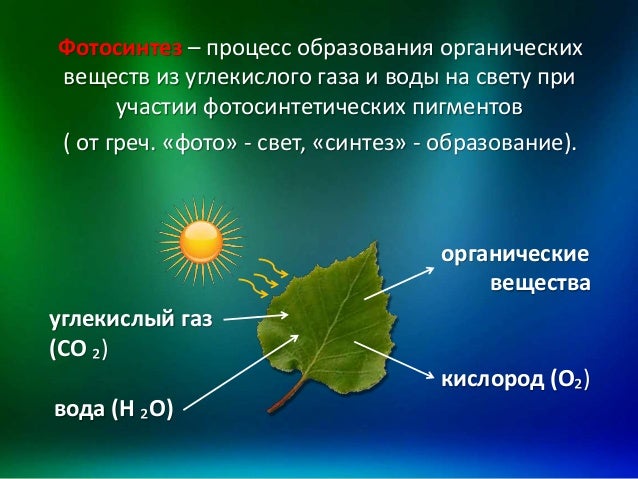 Схема образования углекислого газа Схема образования углекислого газа