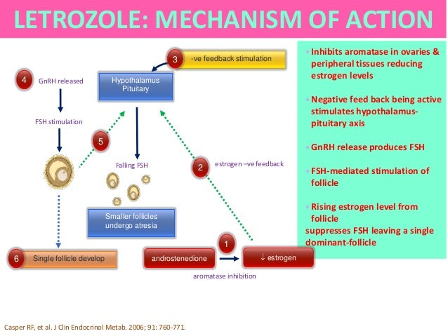 What Are Aromatase Inhibitors foto foto What Are Aromatase Inhibitors