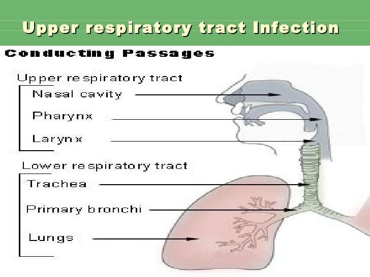 relieve nasal congestion quickly
