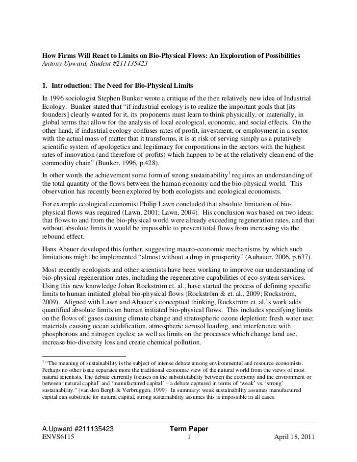 Interview Report and Reflection Paper
