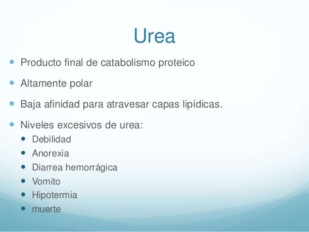 Uremia Uremia