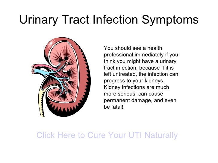 uti symptoms urinary tract infection symptoms uti symptoms urinary tract infection symptoms