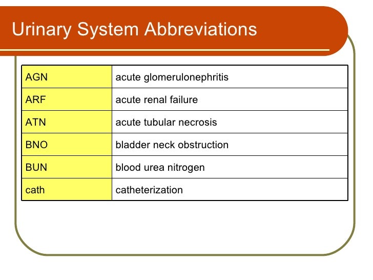 Intermittent Peritoneal Dialysis