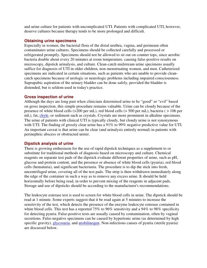 Urinary system essay