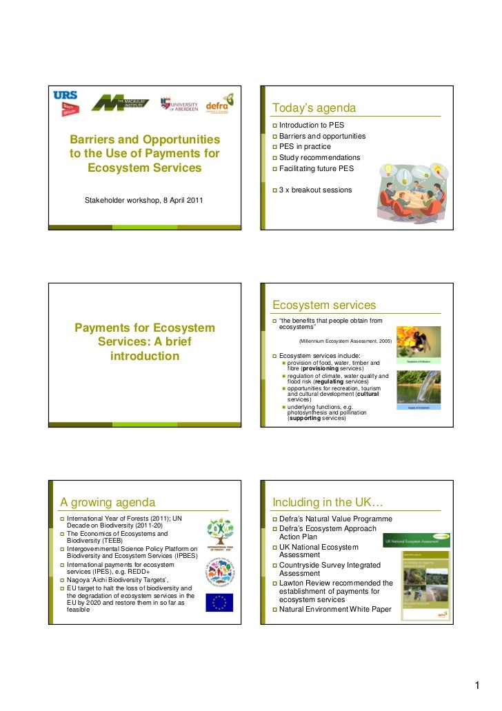 Ecosystem Essay Tagalog