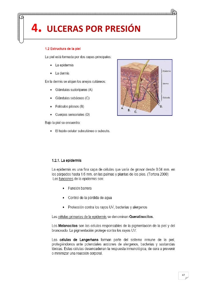 Los regímenes inteligentes para el adelgazamiento