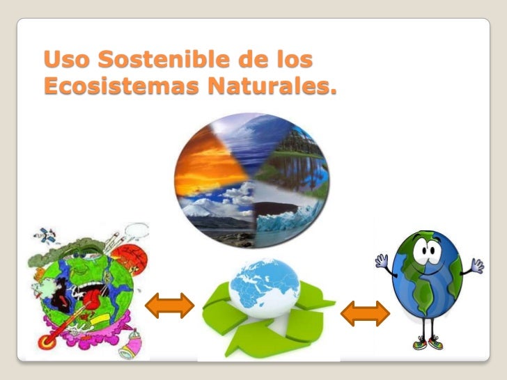 El Uso Sostenible De Los Recursos Naturales Propuesta - vrogue.co