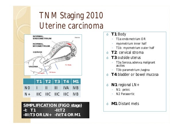 can level three cervical cancer be handled