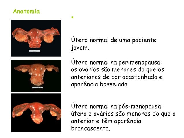 Utero