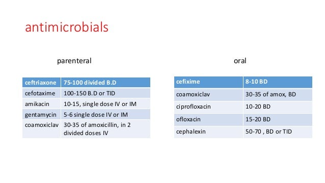 dose of nitrofurantoin for uti prophylaxis