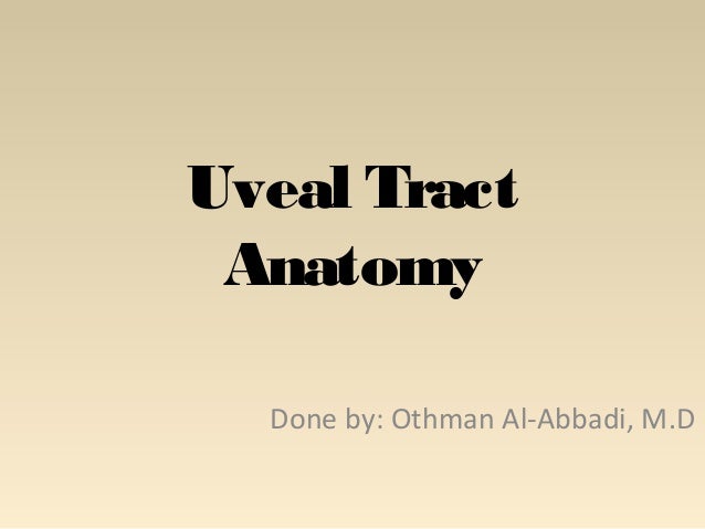 uveal tract
