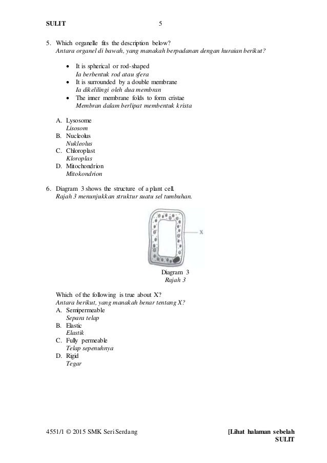 Ap human geography essay questions 2009