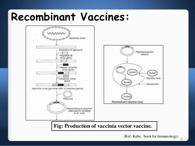 vaccinations essay Essay on public opinion on vaccines in the year 1796, edward jenner, a physician, and scientist facilitated an event that would change a scientific paradigm forever: he created the first smallpox vaccine. vaccinations essay Essay on public opinion on vaccines in the year 1796, edward jenner, a physician, and scientist facilitated an event that would change a scientific paradigm forever: he created the first smallpox vaccine.