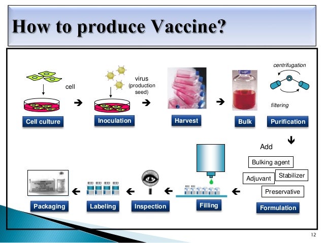 2019 year - Influenza Virus Vaccine, Live 2019 year