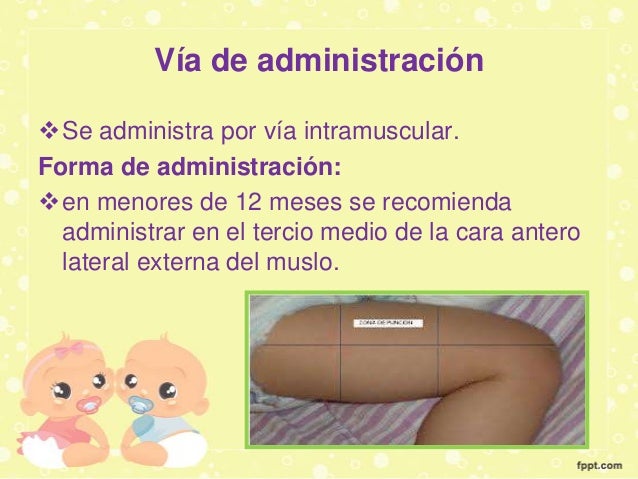 Vacuna contra la haemophilus influenzae tipo b