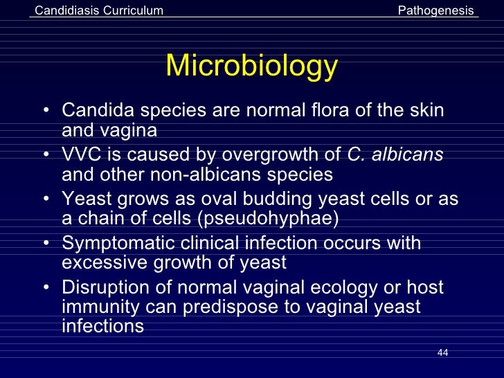 Vaginitis Slides