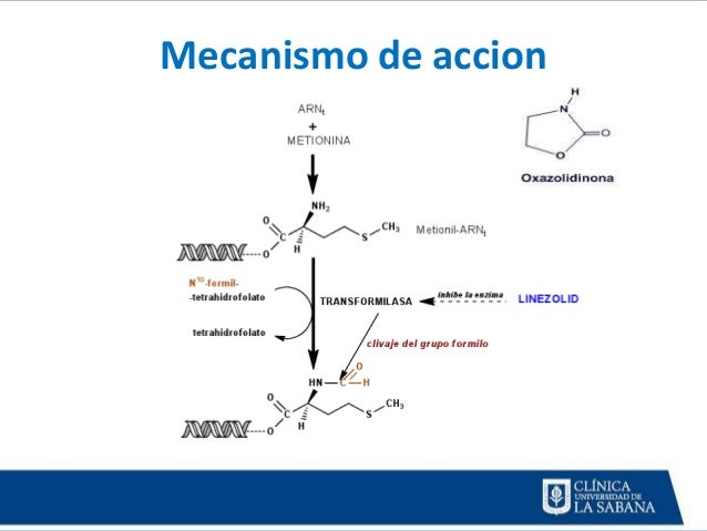 No puedo dejar beber ayuden
