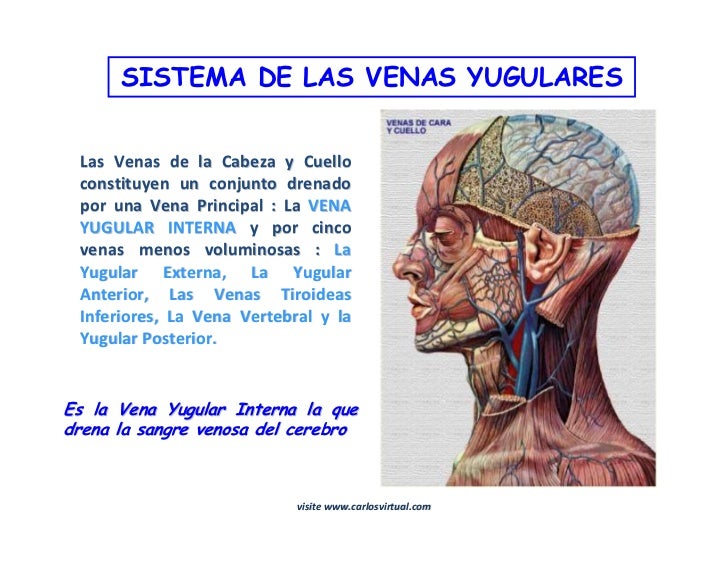 Duele la parte inferior de la espalda a la izquierda