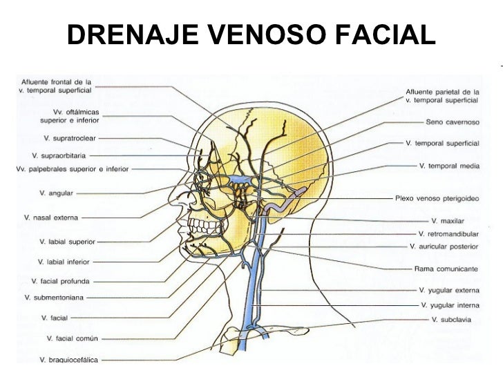 Vitaminas de pele de cara de envelhecimento