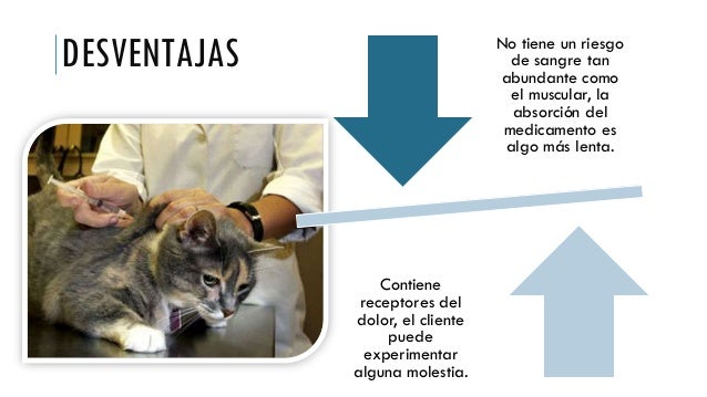 Vías de administración de medicamentos