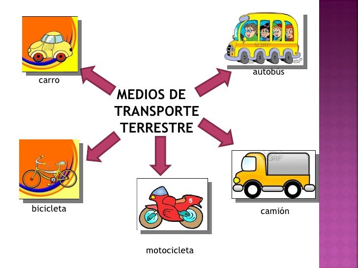 VIAS DE TRANSPORTE vias de transporte: