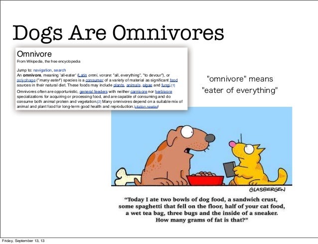 are dogs omnivores what s really in pet food stop poisoning your are dogs omnivores what s really in pet food stop poisoning your