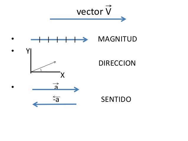 Vectores