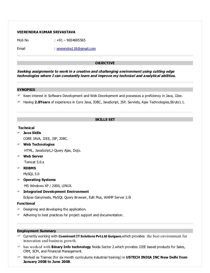 resume format for experienced in ms word