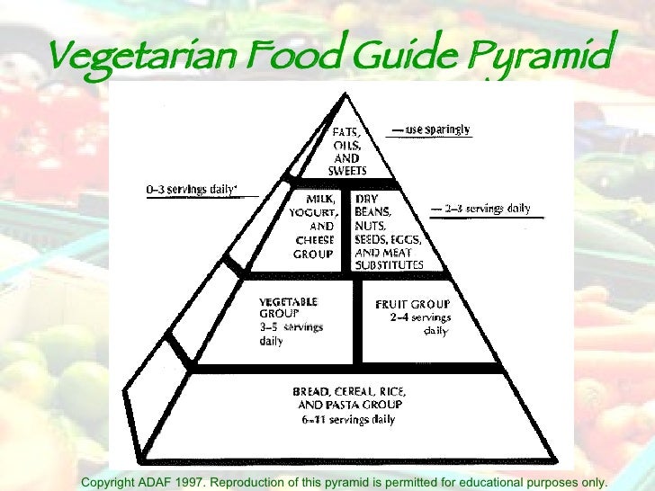 Food Pyramid Essay