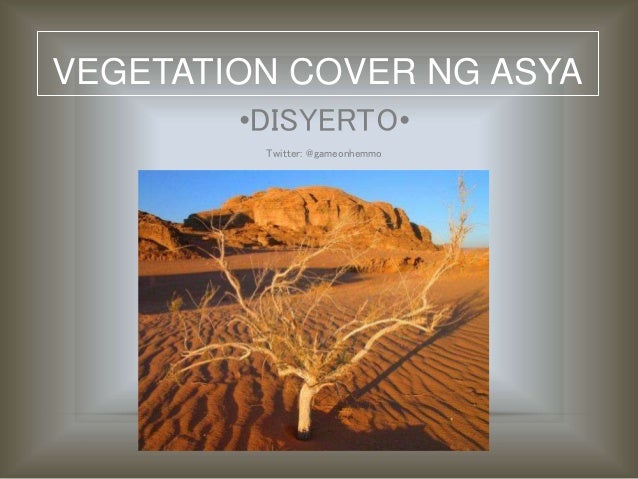 Vegetation Cover ng Asya - Disyerto