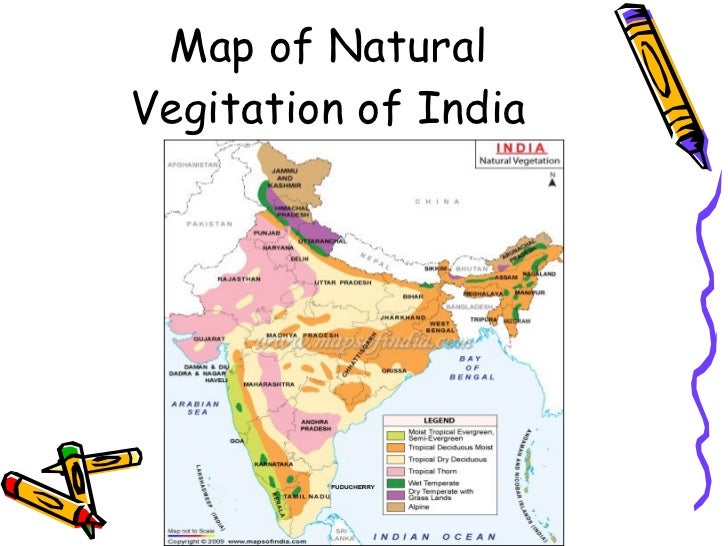 Different Natural Resources In India Different Natural Resources In India