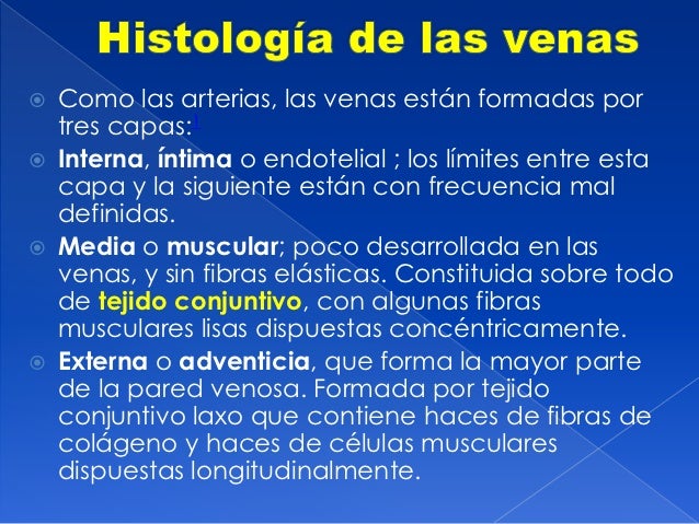 El preparado de las lombrices a la persona adulta