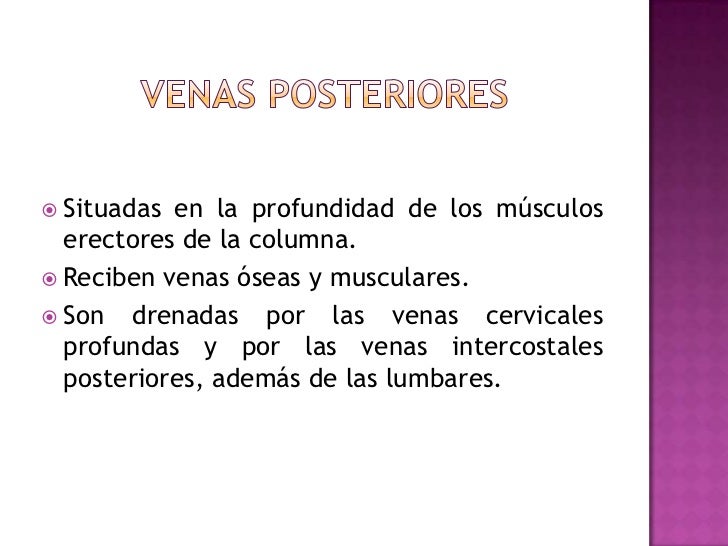 Las funciones del médico flebologa